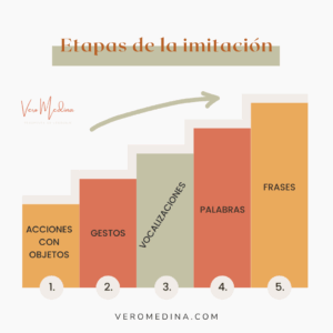 Etapas imitación Vero Medina